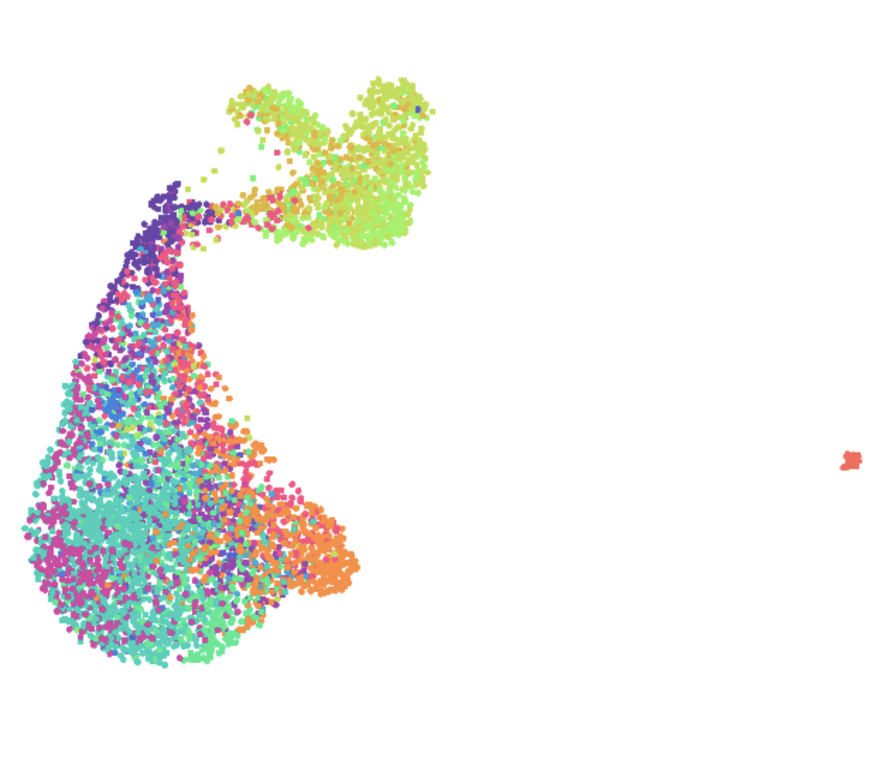 Cord progenitors and neurons UMAP