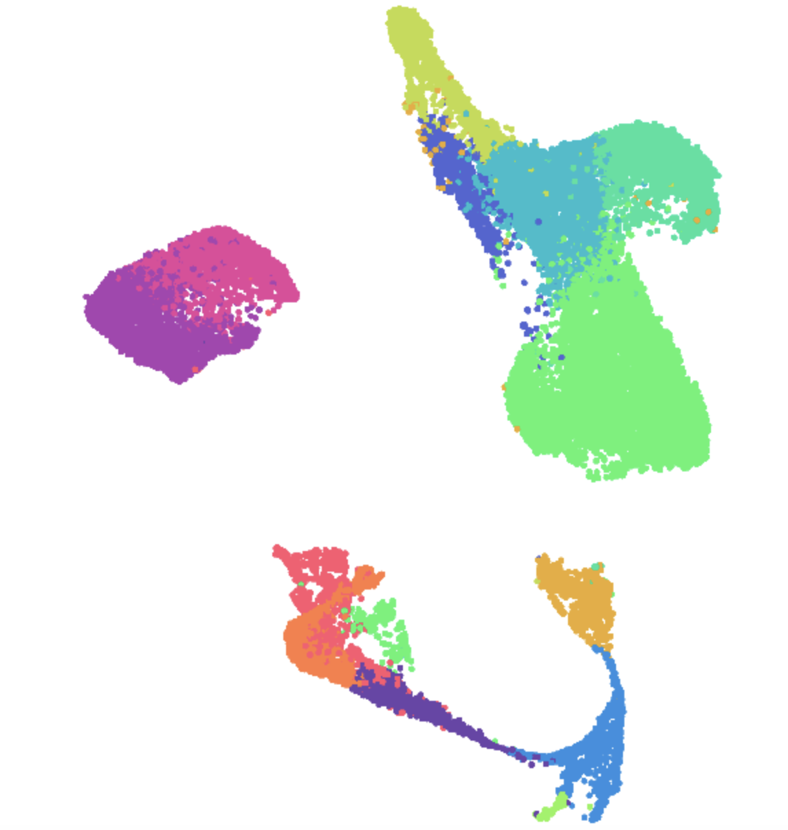 PNS UMAP